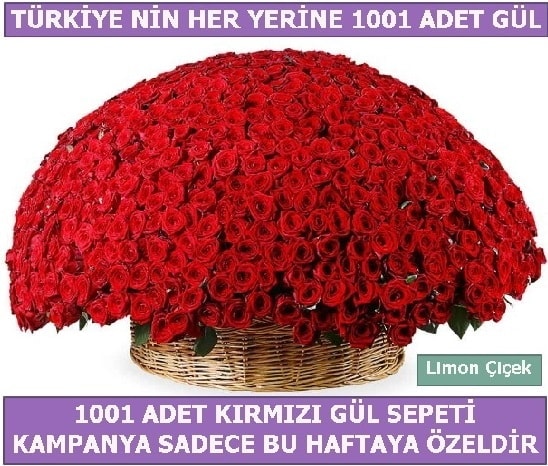 1001 Adet krmz gl Bu haftaya zel  Gaziantep online iek gnderme sipari 